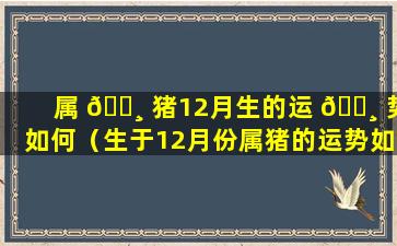 属 🌸 猪12月生的运 🌸 势如何（生于12月份属猪的运势如何）